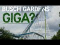 Will Busch Gardens Tampa get a B&M Giga? | Coaster Theory