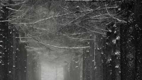 hal kemp and his orchestra with skinnay ennis - it's winter again (1932)