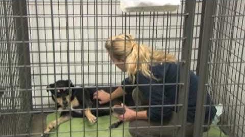 Microsoft Giving Campaign - I Give