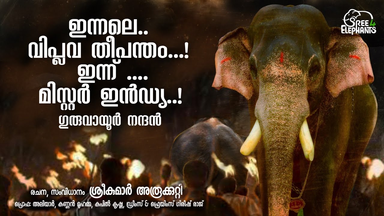 വെടിക്കെട്ട് ദുരന്തം മുൻകൂട്ടി കണ്ട ഗുരുവായൂർ നന്ദൻ..! ഒരിക്കൽ മനുഷ്യവർഗ്ഗവുമായി നിരന്തര യുദ്ധം ...!