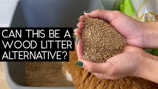 SWHEAT SCOOP LITTER REVIEW | SVEN AND ROBBIE