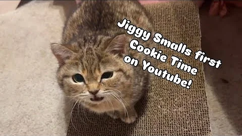 Watch the video about Jiggy Smalls First Cookie Time on Youtube!