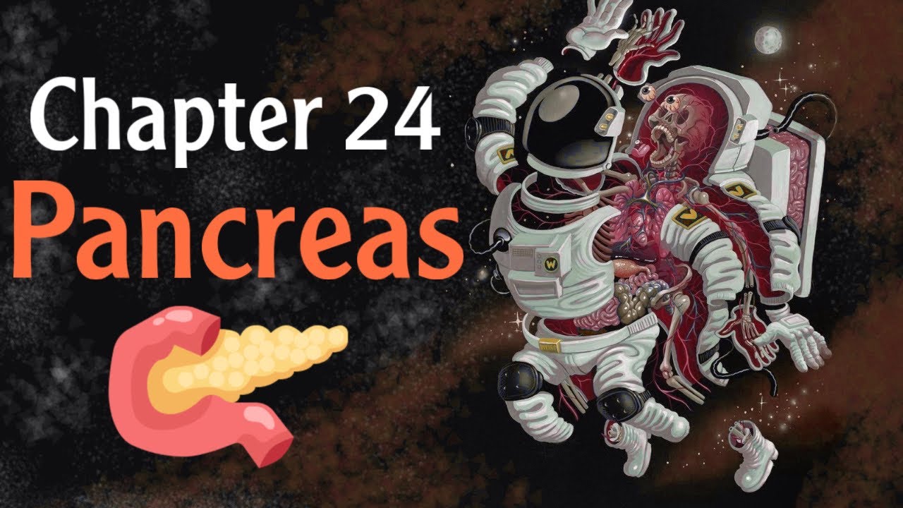 Physiology chapter 24 pancreas ( فسلجة وزاري )