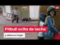 Mujer es hospitalizada tras ser atacada por pitbull que saltó desde un techo en Comas