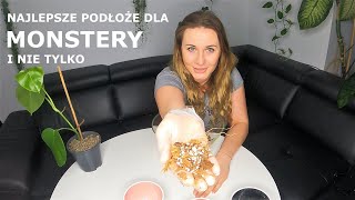 Jakie podoe dla Monstery? Robimy bigos! - YouTube