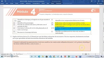 Tutorial Proyecto integrador. Módulo 4