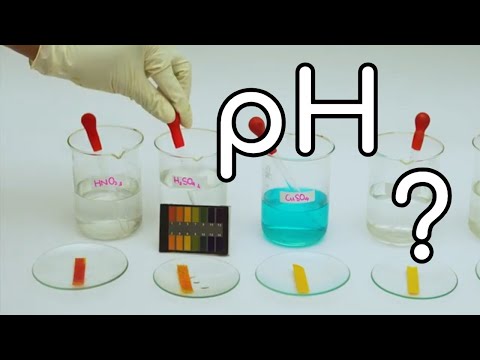 Video XÁC ĐỊNH ĐỘ pH DUNG DỊCH BẰNG GIẤY ĐO pH bài học thú vị - youtube