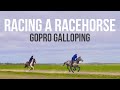 MY HORSE vs. RACEHORSE | Newmarket Gallops | Footluce Eventing