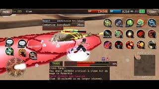 Iruna Online - Beast Knight vs Hyaareia Lv442 screenshot 5