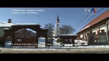 TVR Tîrgu-Mureș Live Stream