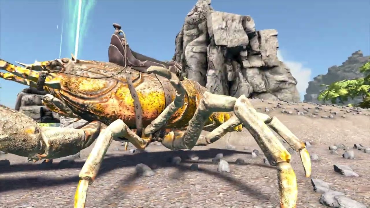 Texture issues video