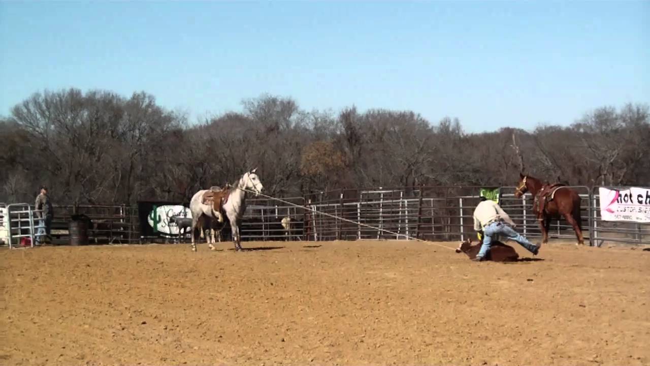 SANY0100.MP4 Calf Roping Horse for sale YouTube