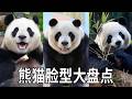 大熊猫的脸型也有很多种,比如福宝的嫩牛五方,酷酷的椰子头,肉肉的宽屏脸,你最喜欢哪一种呢~【你好大熊猫】#大熊猫福宝 #大熊猫酷酷 #来这吸熊猫 #大熊猫