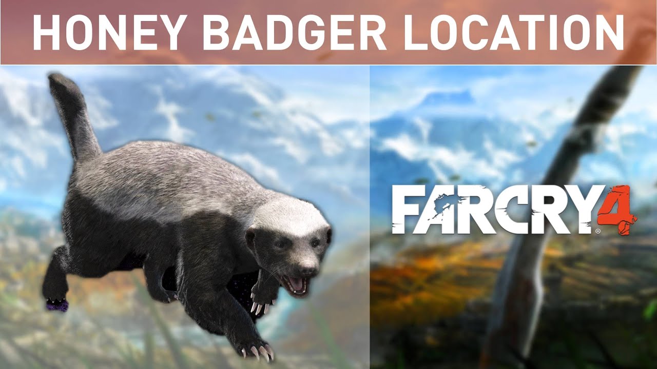 Far Cry 4: Honey Badger LOCATION! - YouTube