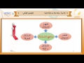 الثاني الثانوي| الفصل الدراسي الثاني 1438 | لغة عربية | مراجعة عامة على الكتابة العلمية