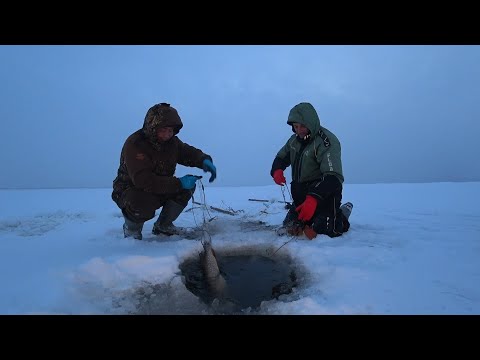 ПРОВЕРИЛИ С РЫБКИНЫМ ЧУЖУЮ СЕТКУ!!! ТРЭШ!!!