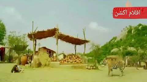 فيلم الطفل الهندي الذي قتل النمر كامل تحميل Download Mp4 Mp3