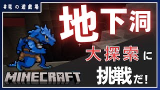 #3【MINECRAFT(switch版)】地下洞大探索に挑戦だ！【竜の遊技場】
