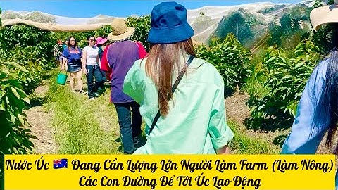 Nước Úc 🇦🇺 Đang Cần Lượng Lớn Người Làm Farm (Làm Nông). Các Con Đường Để Tới Úc Lao Động