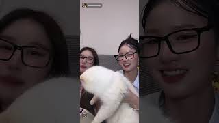 20260820 Orm & Folk live on TikTok # ormfolk