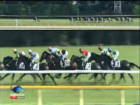 2014.06.01 Tokyo Yushun (Japanese Derby) - One and Only