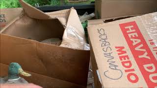 I bought 128 Duck Decoys! Mallard - Canvasback - Teal