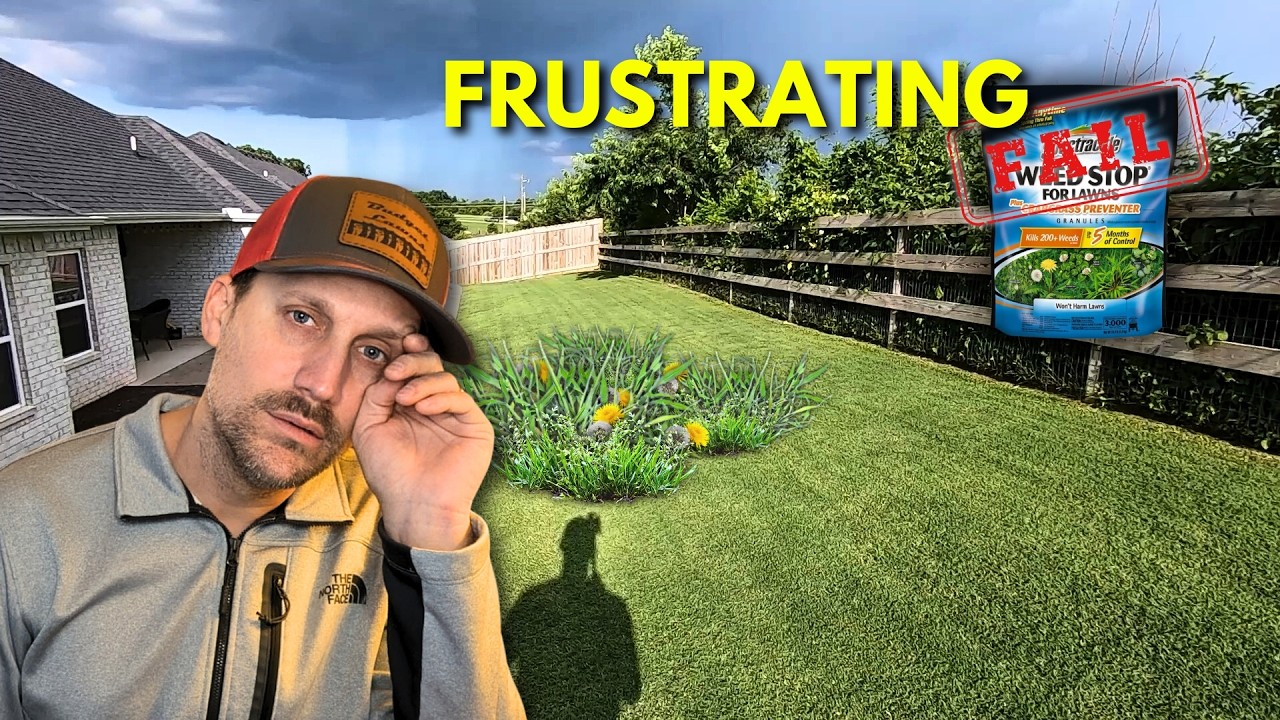 It’s Your Fault The Pre-Emergent Didn’t Prevent Weeds — Here’s What You Did Wrong