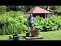 Ca jardine aux Martels aux mois de Juin   Spécial plantes aquatiques