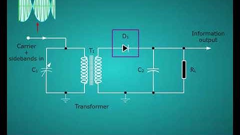 AM Detector