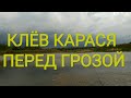 Клёв карася перед грозой