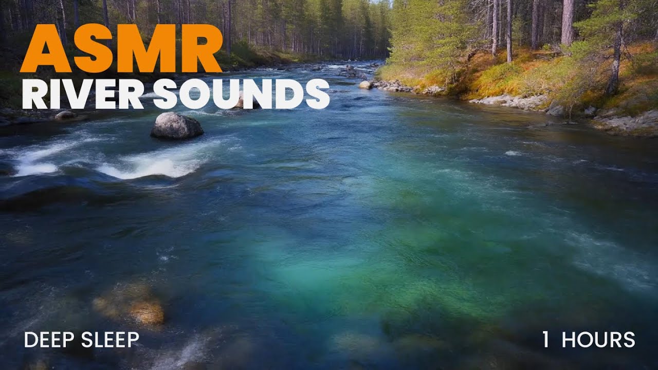 🌲💦 Peaceful Forest River Flow | Relaxing Nature Sounds for Deep Sleep ...