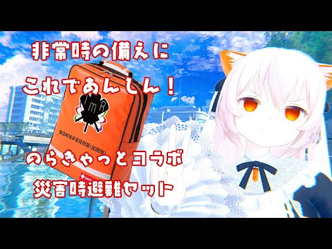 video thumb