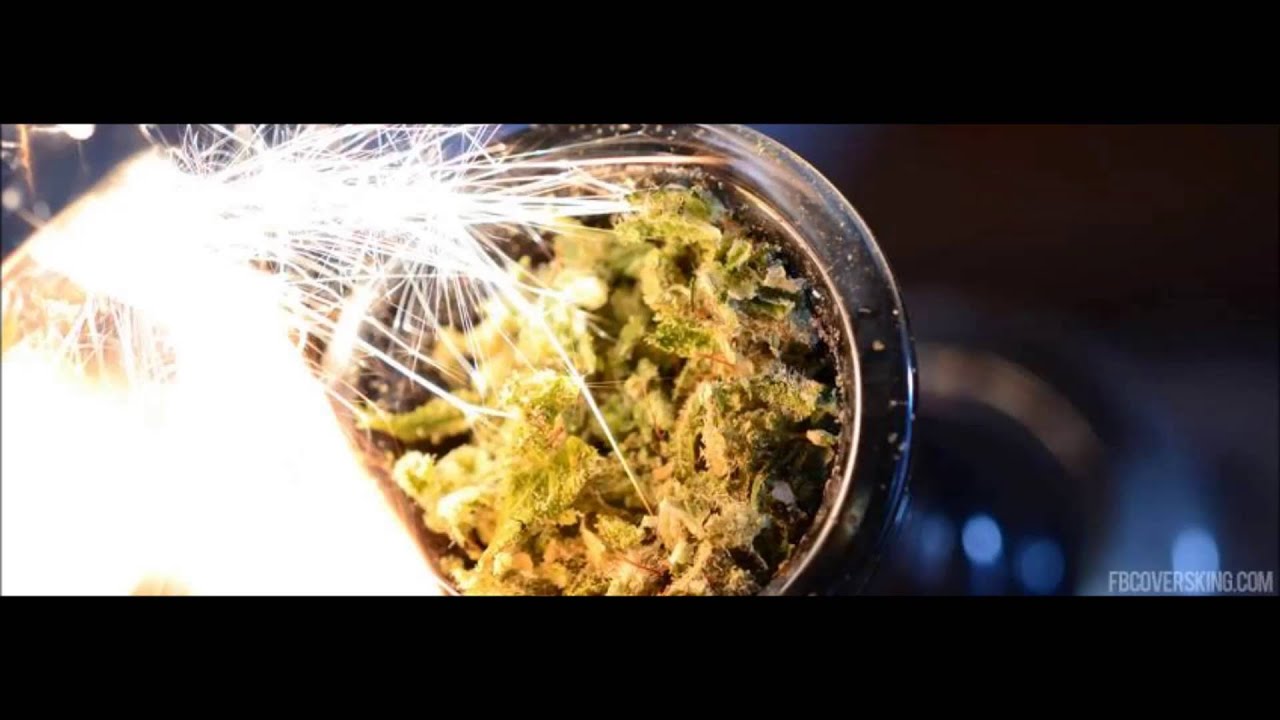 = Smoke Weed =    [n0th1nG]