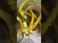 Вакууматор превращает хаос в порядок! WB: 257389562