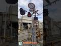 【踏切 電車】なにが通るかな???【ふみきりショート動画300】 #shorts