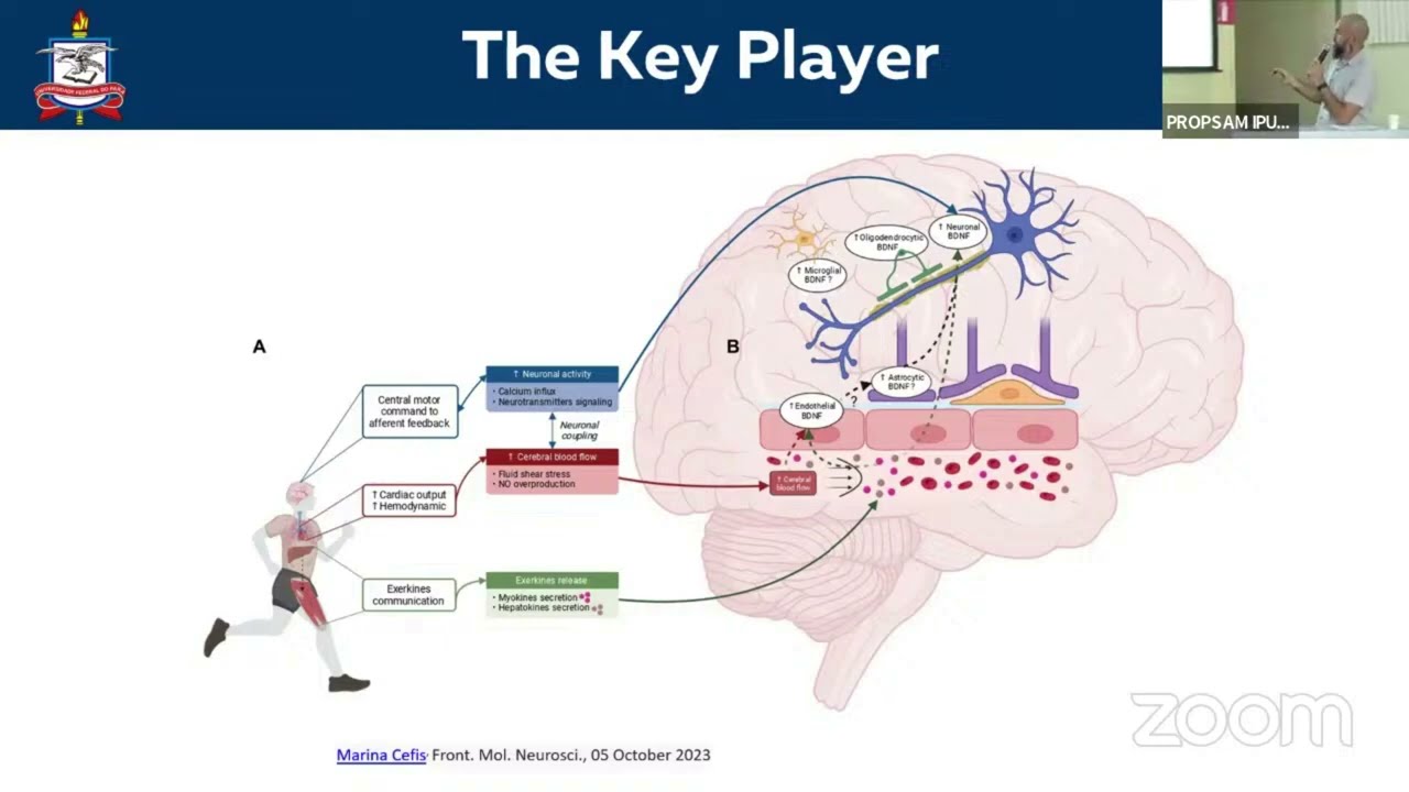 Palestra - Neurobiologia do Exercício: Efeitos Agudos e Crônicos.