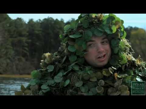 Giant Salvinia PSA (30 sec.) - Texas Parks and Wildlife [Official]