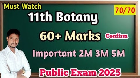 11th Botany Important 2m 3m 5m Questions| 60+ Marks Confirm| Public Exam 2025