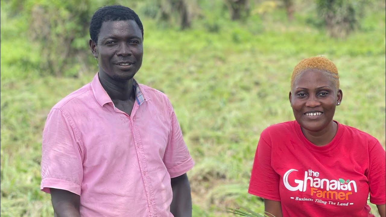 Ghanaian High School Teacher Returned From UK After 25 Years To Invest In 40 Acres Citronella Farm.