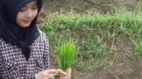 NASIB ORANG SIAPA YANG TAHU # DOEL SUMBANG 