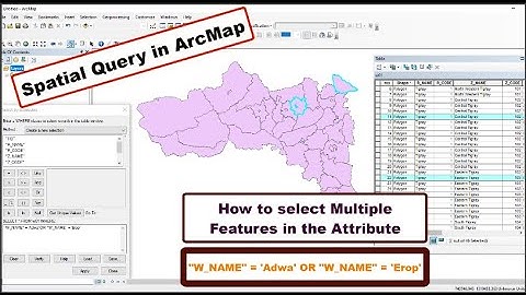 How to select Multiple Features in the Attribute table