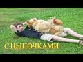 ЗАСМЕЯЛСЯ - ПОДПИСАЛСЯ! FUNNY MOMENTS | ЛУЧШИЕ ПРИКОЛЫ ЯНВАРЯ  2024 | 486 СЕКУНД СМЕХА