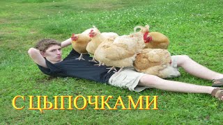 ЗАСМЕЯЛСЯ - ПОДПИСАЛСЯ! FUNNY MOMENTS | ЛУЧШИЕ ПРИКОЛЫ ЯНВАРЯ  2024 | 486 СЕКУНД СМЕХА