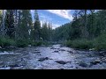 Relaxing River Sound - Peaceful Forest🌲- Water Stream