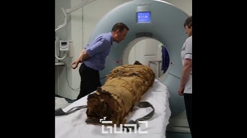 It Does Sounds like Minecraft Villager - Mummy Sound Meme