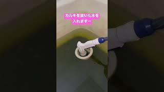 ミジンコの水換え 50倍速早回し / 桜めだか流