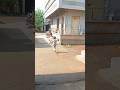बस 2 सेकंड और… बड़ा हादसा हो जाता 😳 | #minivlog #village #vlog #shorts
