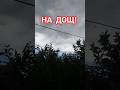 Великі бульби, то на дощ