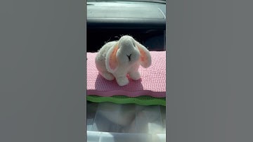 🐇 Needle felted bunny just in time for Easter #felt #needlefelt #felting #needlefelting