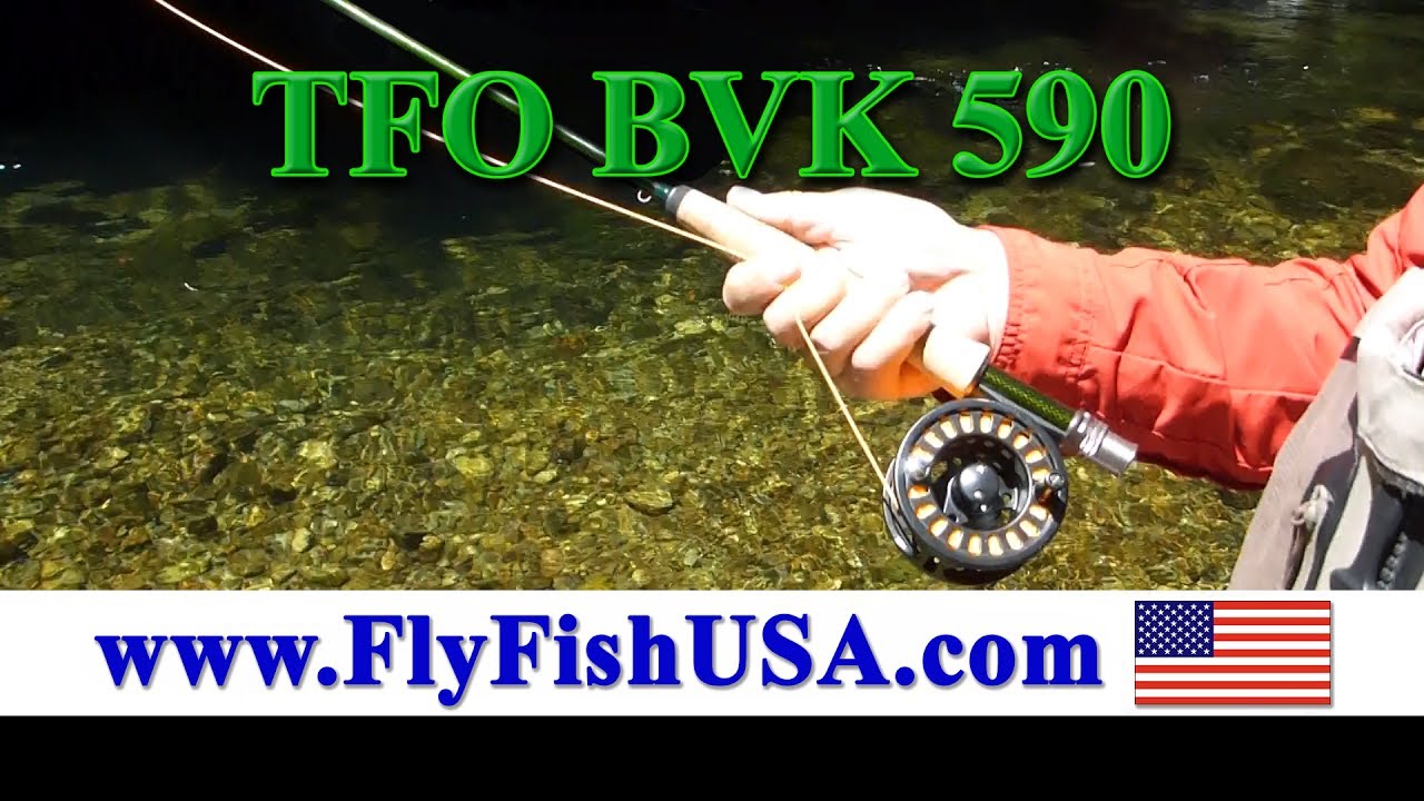 TFO BVK 590 